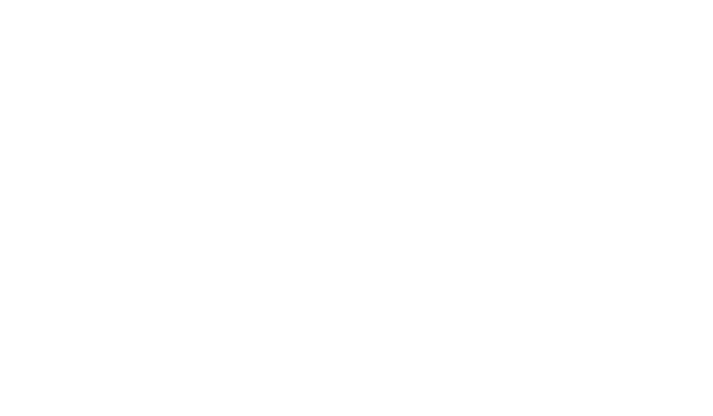 wn logo poziom biały