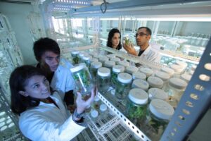 Biologia